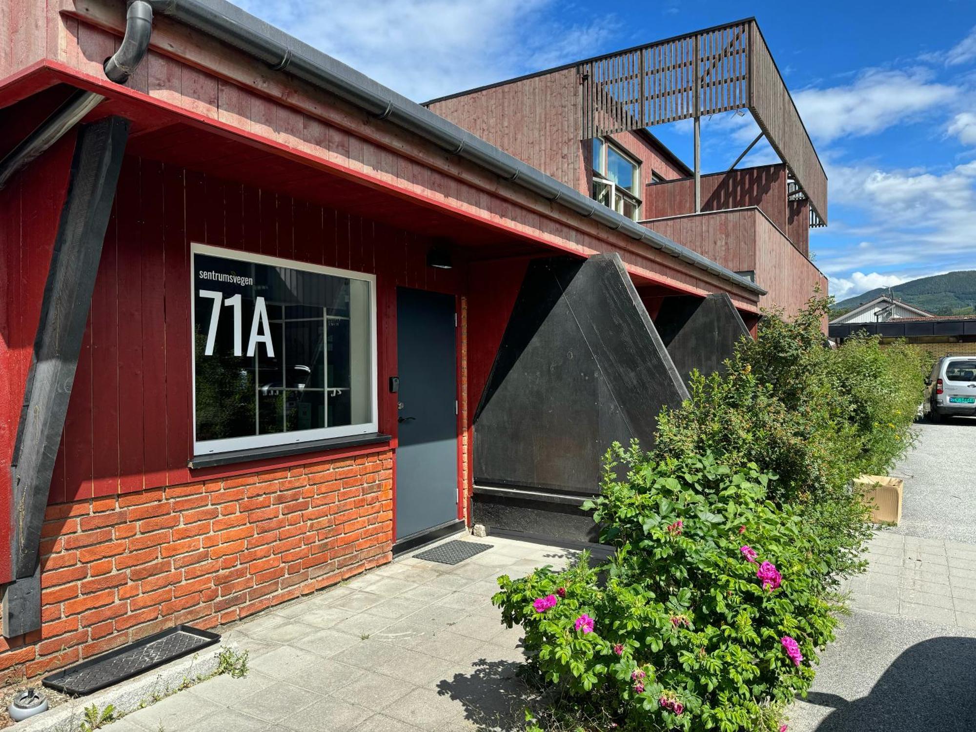 Sentrumsvegen - Private Studio Apartment In Gol Zewnętrze zdjęcie
